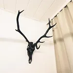 Lejlighed In Geidorf