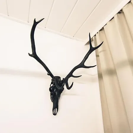 Elegantes Mit Terrasse Apartment *